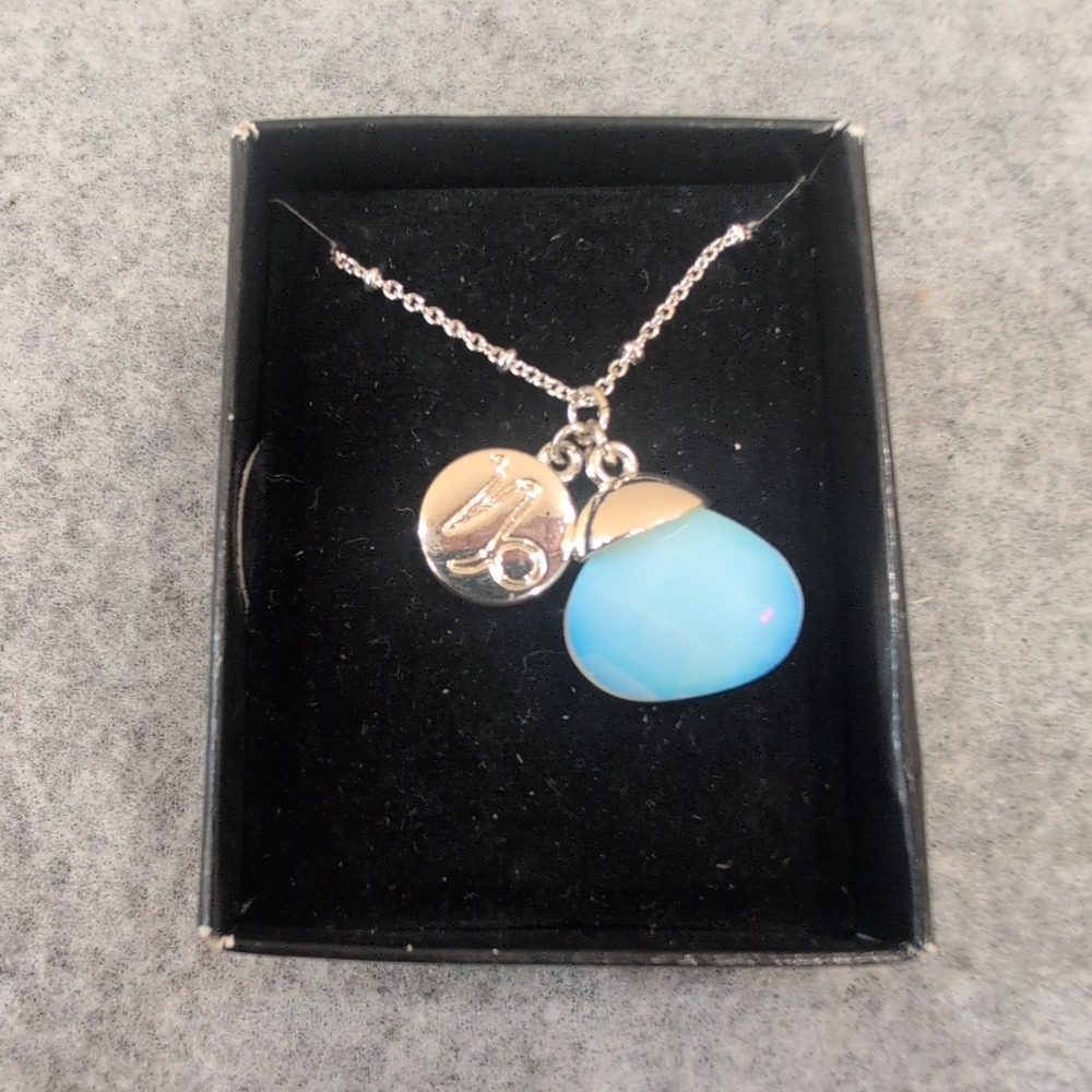 Silver Tone Zodiac Capricorn Necklace with Blue Stone Pendant - Picture 1 of 2